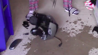 A bunch of idiots are trashing their Keurigs to get back at liberals<em></em>